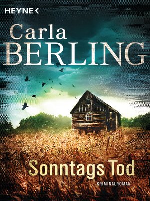 cover image of Sonntags Tod